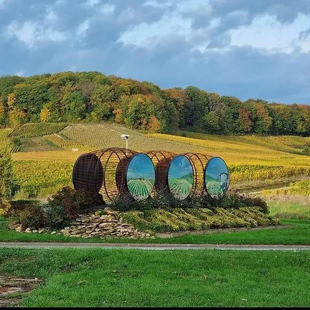 En Champagne Le Sarment *