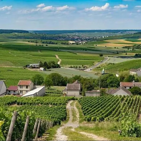 En Champagne Le Sarment *